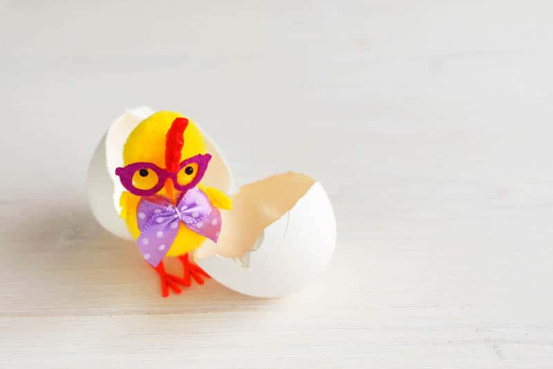 cute chicken baby toy in egg shell