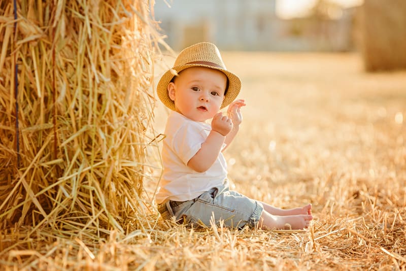 little adorable baby boy wearing hat sits in a field near haystacks at sunset 