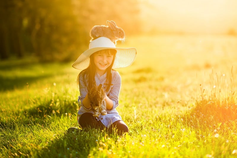 little girl sitting in the sun with two rabbits