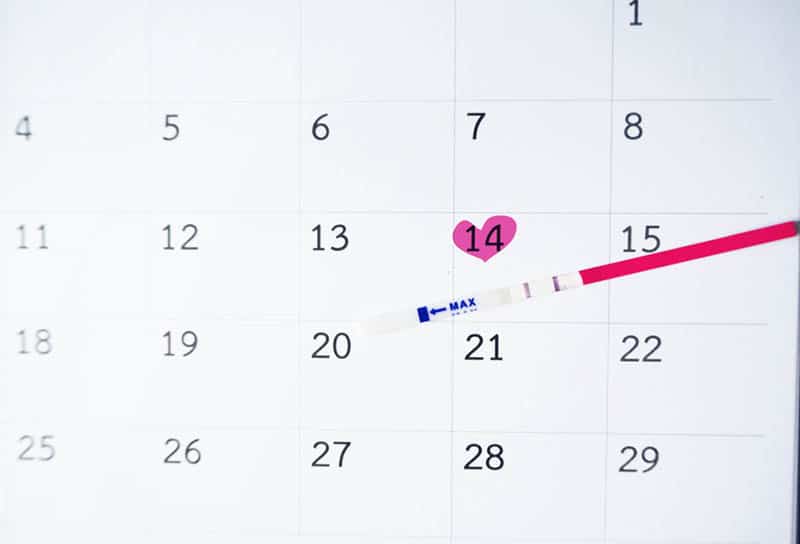 test strip placed on white calendar with pink heart on 14 date