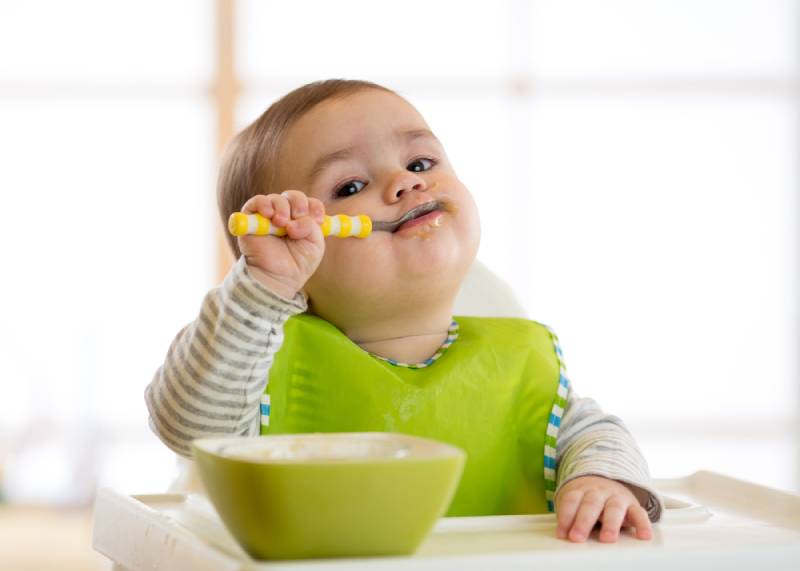 adorable baby sitting in high chair and eating with spoon