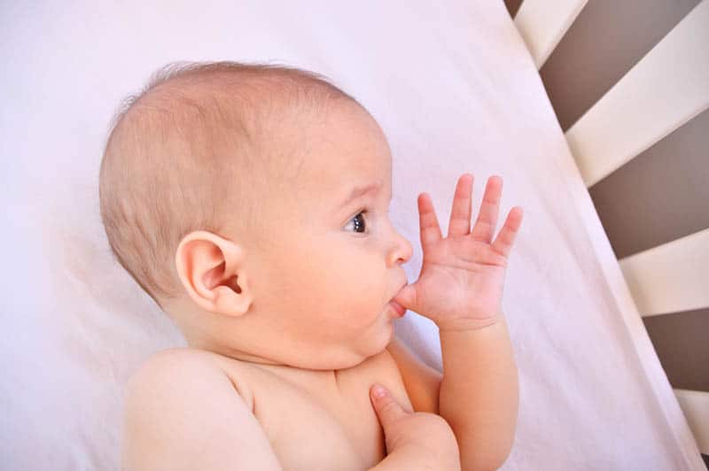 baby boy lying in the crib on white sheet and sucking his finger