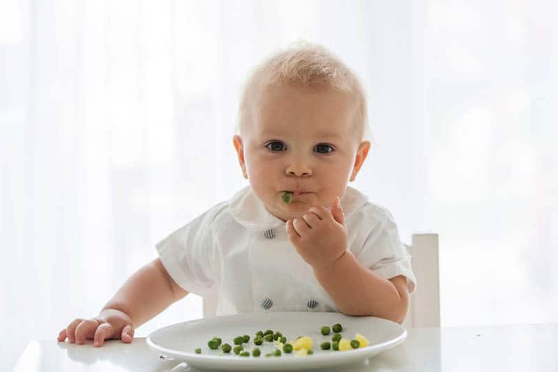 baby boy wearing white shirt eating pea from plate at home
