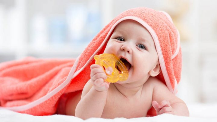 15 Best Natural Teethers For Babies Of 2022 (Non-Toxic And Safe)