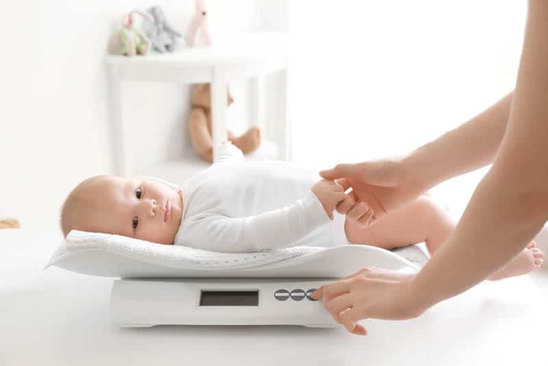 young mother other weighing baby on scales in room