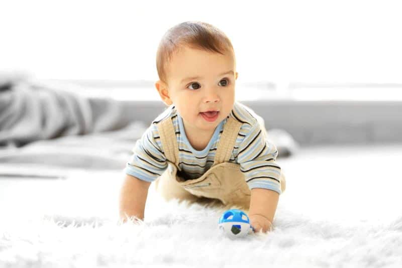 baby boy crawling on the floor while holding a toy