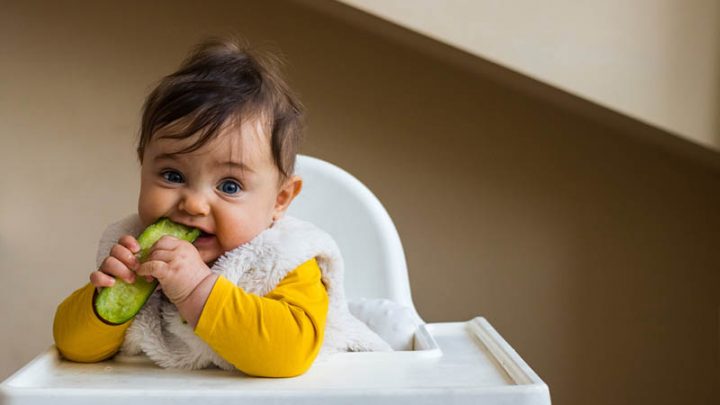 Can Babies Eat Cucumber? Health Benefits And Risks