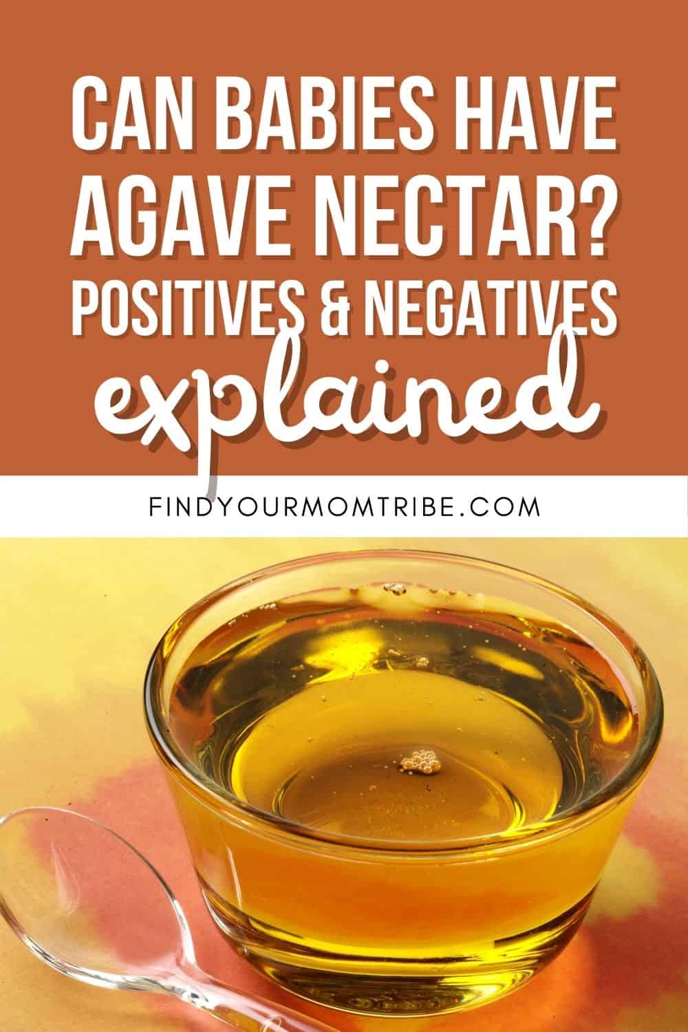 Can Babies Have Agave Nectar Pinterest