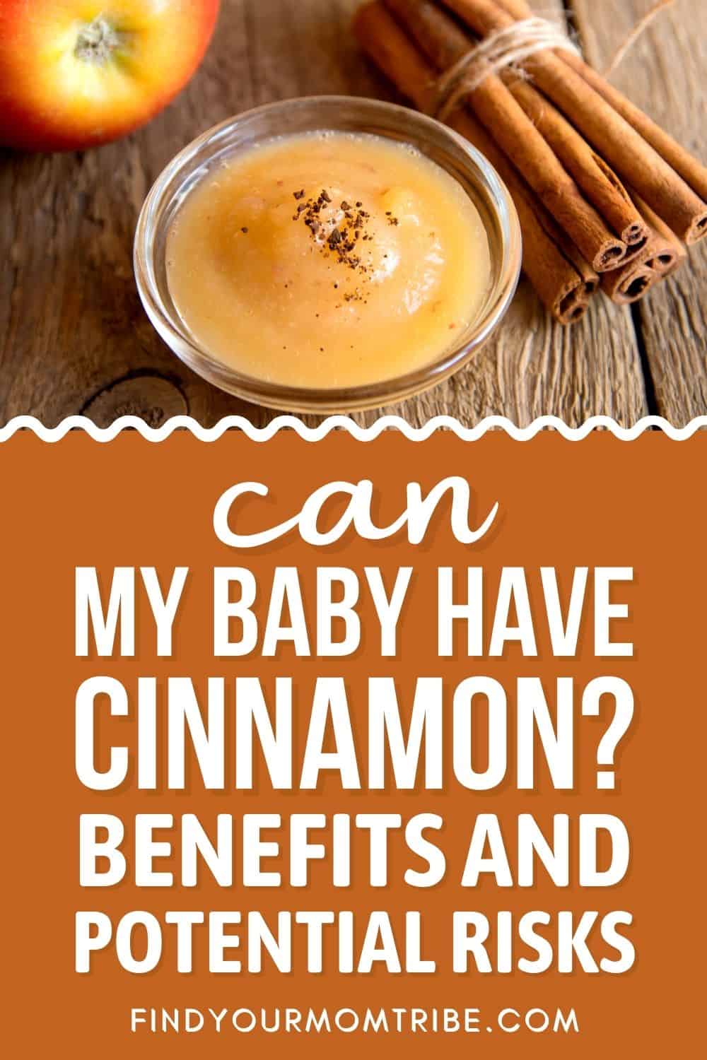 Can Babies Have Cinnamon Pinterest
