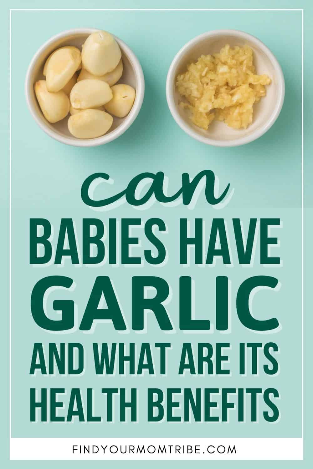 Can Babies Have Garlic And What Are Its Health Benefits Pinterest
