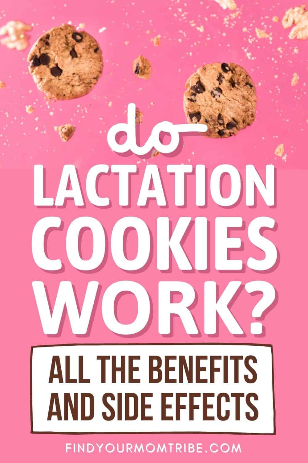 Do Lactation Cookies Work Pinterest