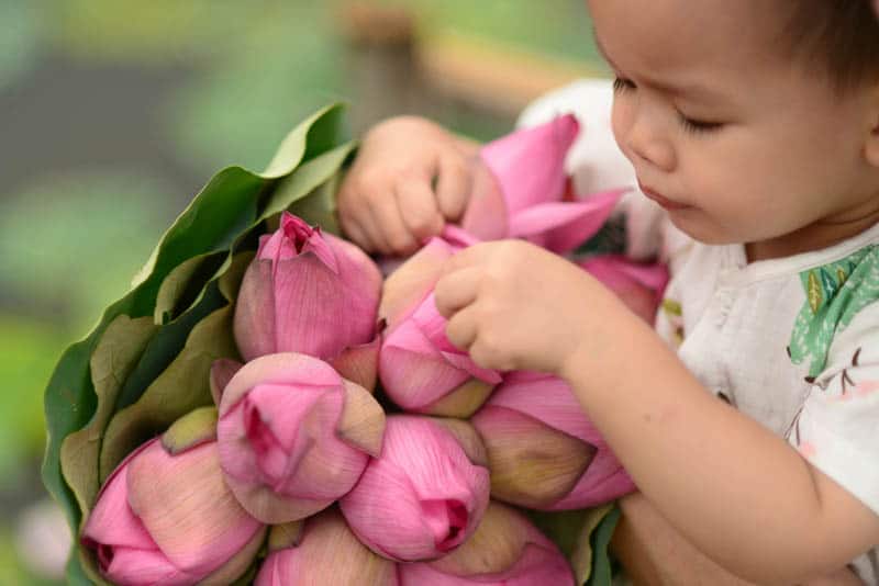 adorable little boy holding a bouquet of lotus flowers