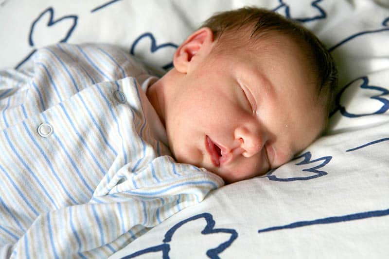adorable newborn baby sleeping tight on the baby sheet