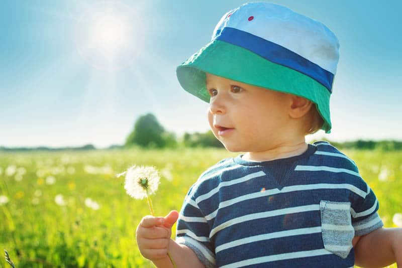baby boy wearing hat holding dandelion in meadow