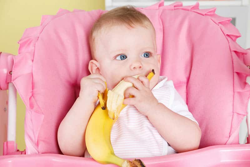 cute baby girl sitting in a pink high chair and eating a banana