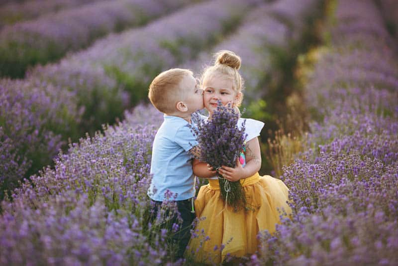 cute little boy kissing a girl in the lavender field