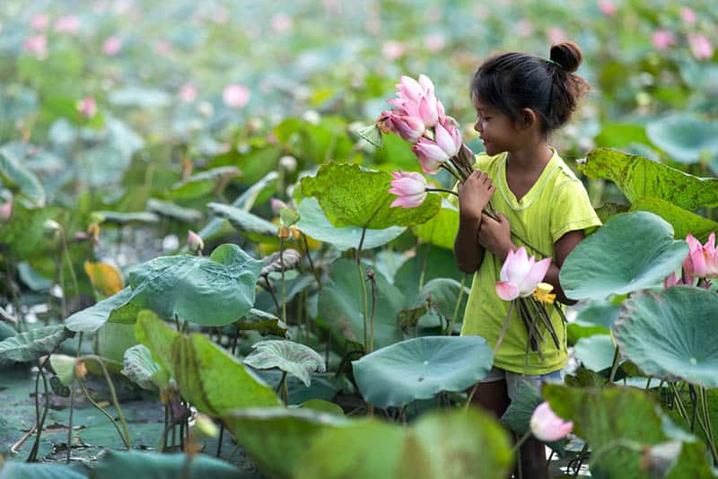 happy little girl picking up lotus flowers in the river