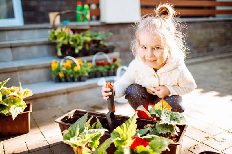 little blonde smiling girl with pot flowers of begonia at her back yard