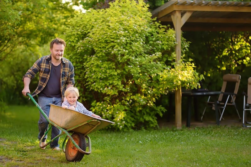 little boy laughs while his dad drives him around in a wheelbarrow