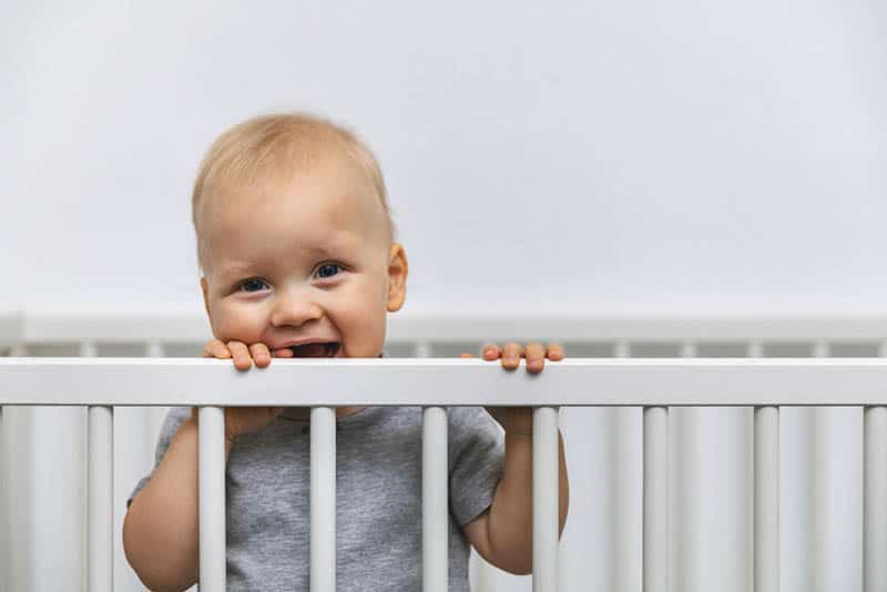 smiling toddler standing in the bed and holds by the cot rails