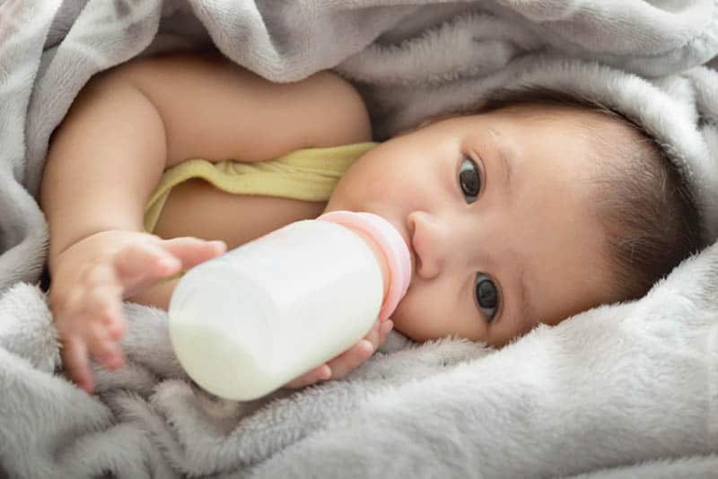 sweet baby drinking milk bottle while lying in cozy grey blanket