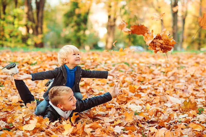 cute brothers playing in autumn leaves in the park
