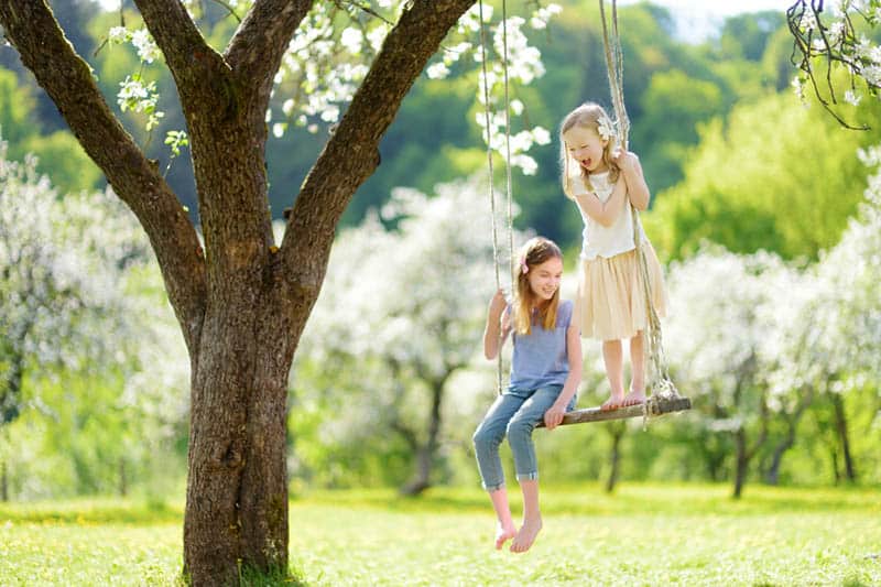 smiling sisters having fun on the swingset in nature