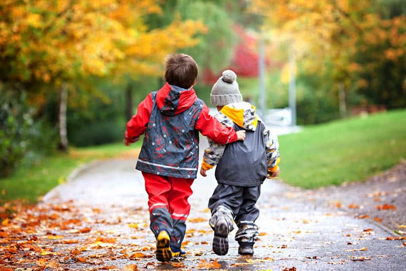 sweet brother and sister walking in the park on the autumn day