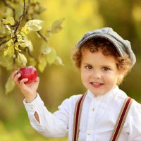 little boy with curly hair and a fancy outfit picks a red apple from a tree