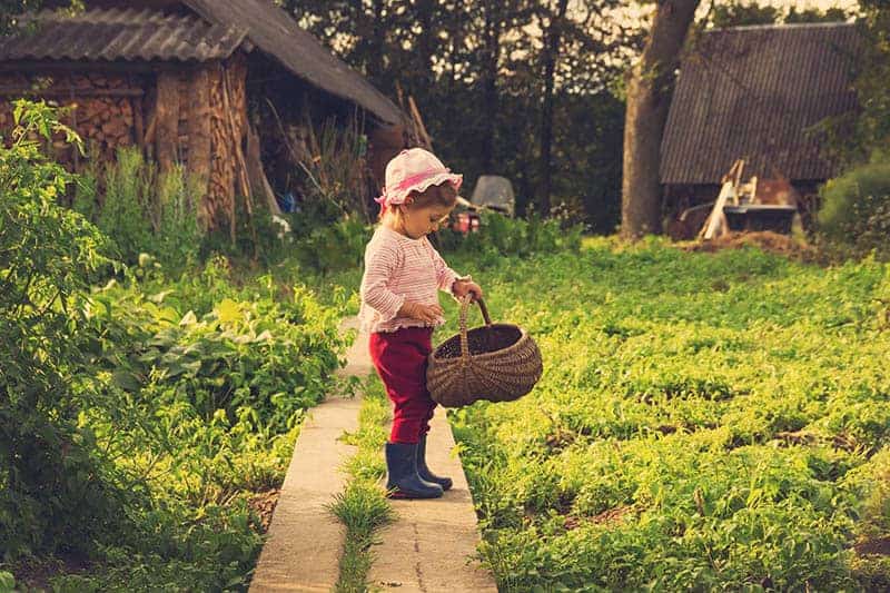 cute little girl holding a basket in the garden