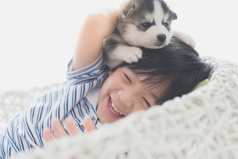 happy little boy playing with cute dog