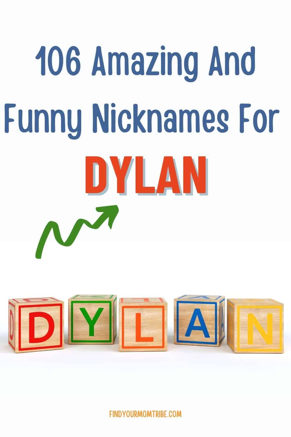106 Amazing And Funny Nicknames For Dylan