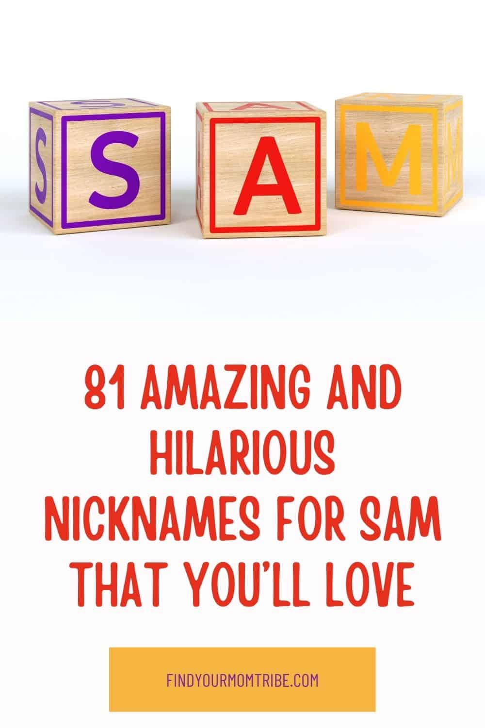 Pinterest nicknames for sam 