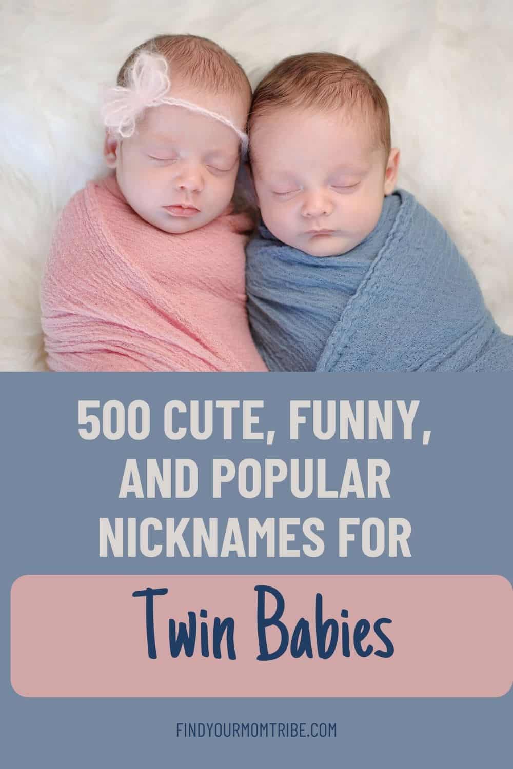 Pinterest nicknames for twin babies 