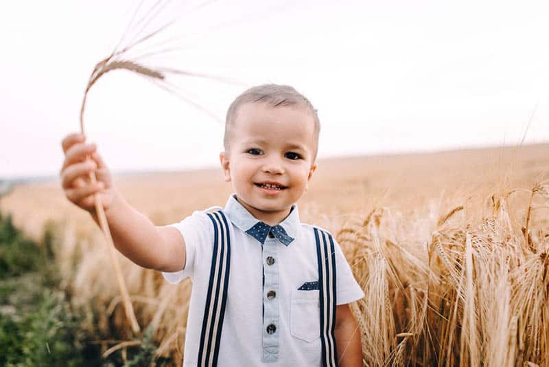 sweet little boy standing outdoor in the field and holding a wheat