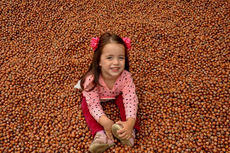 sweet little girl sitting on bunch of hazelnuts and smiling