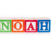 Toy blocks spelling out the name noah