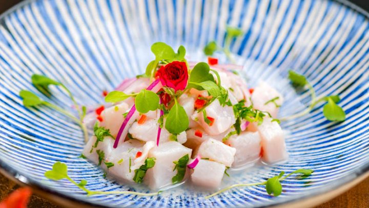 Can Pregnant Women Eat Ceviche? Risks And Side-Effects Explained
