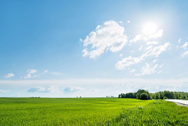 Countryside field on beautiful sunny day
