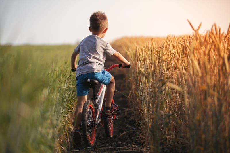 boy rides a bicycle along the countryside