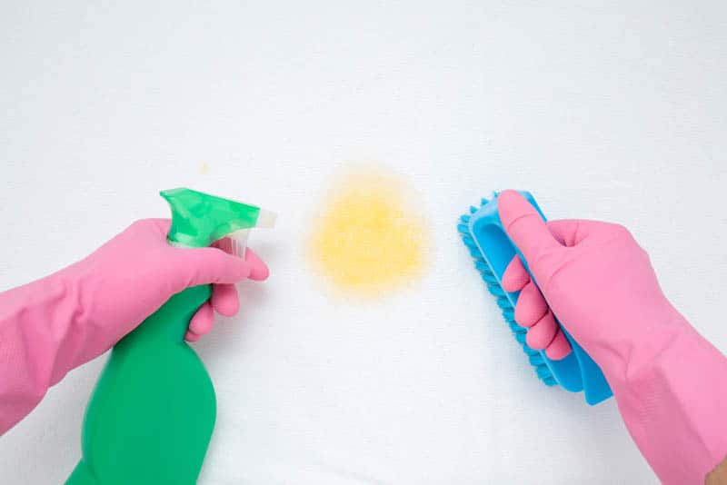 mother hands in rubber protective gloves cleaning baby mattress