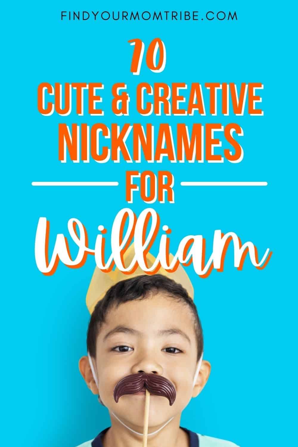 pinterest nicknames for william