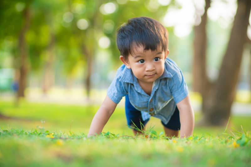 Adorable toddler boy walking on green grass city park