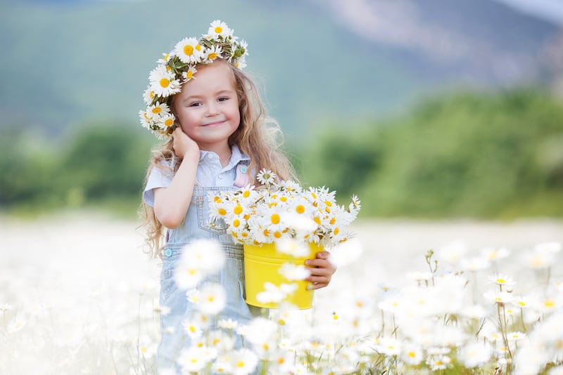 Cute little smiling girl in chamomile field