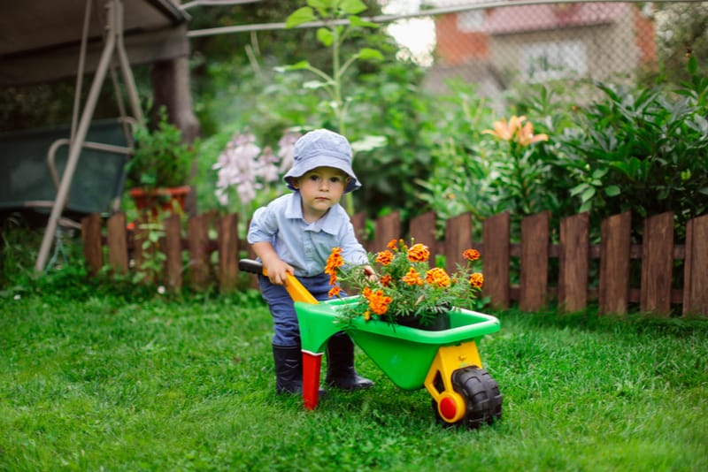 Little boy playing in garden