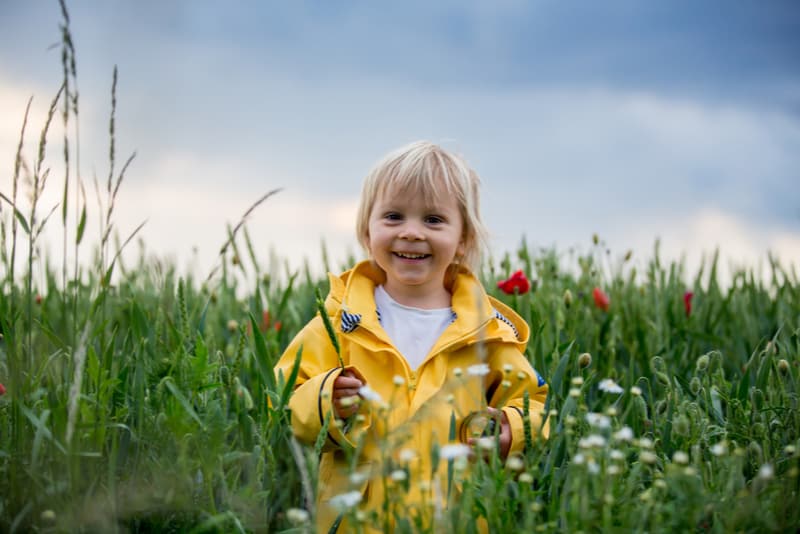 Sweet blond boy playing in poppy field before storm
