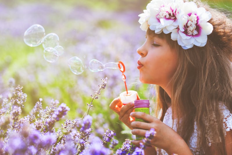 child girl blowing soap bubbles and having fun in lavender field