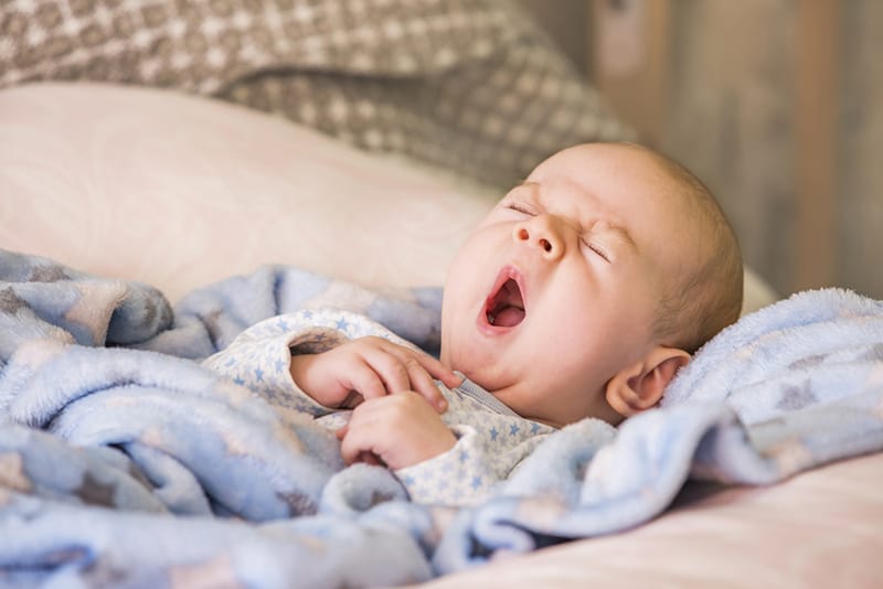 cute baby boy yawning while lying in cozy blue blanket
