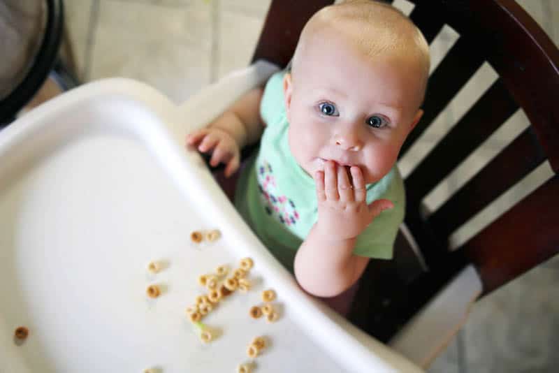 cute baby eating cheerios in high chair
