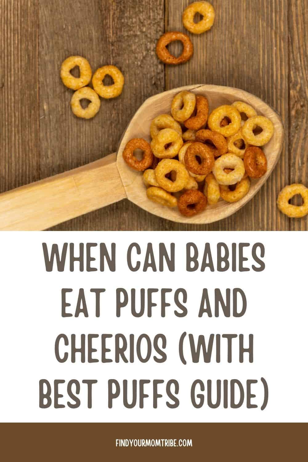 Pinterest when can babies eat puffs